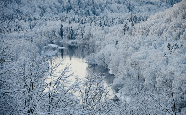 gaujas-senleja-ziem--gauja-national-park-at-winter