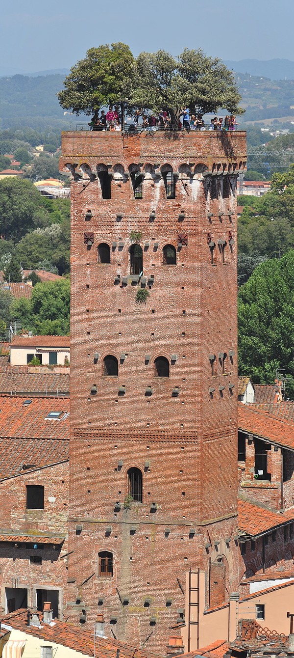 Torre_Guinigi_from_Torre_Torre_dell'Orologio