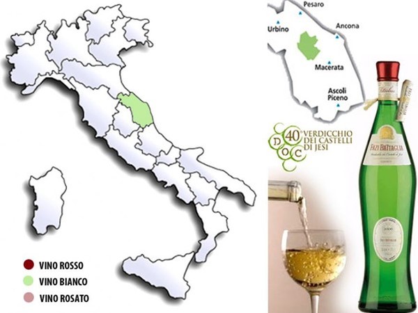 The Marche region and Verdicchio dei Castelli di Iesi area both marked in green. Photo Credits www.alimentipedia.it