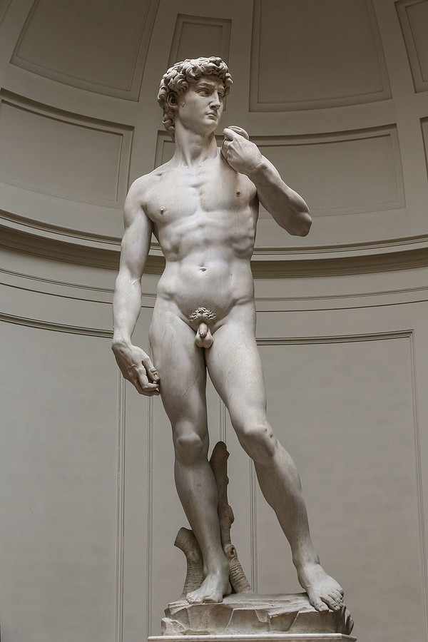 David by Michelangelo, Florence, Galleria dell'Accademia