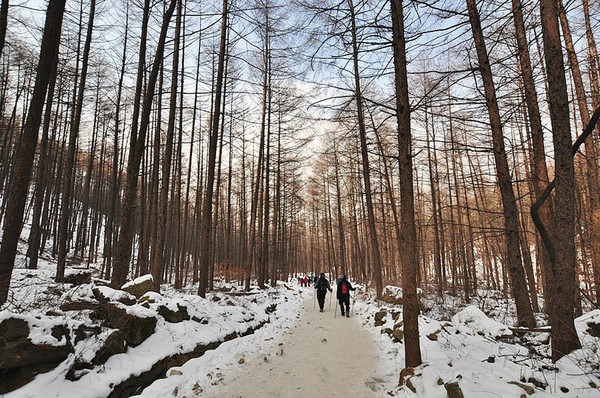 검단산ⓒ 경기도청