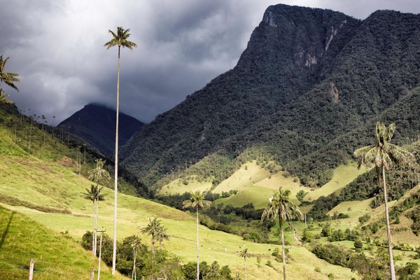 Valle de Cocora, Foto Charly Boillot