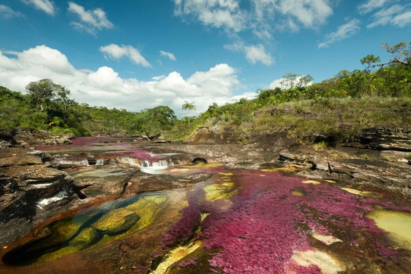Paisaje del rio, Caño cristales; Foto Mario Carvajal www.mariocarvajal.com