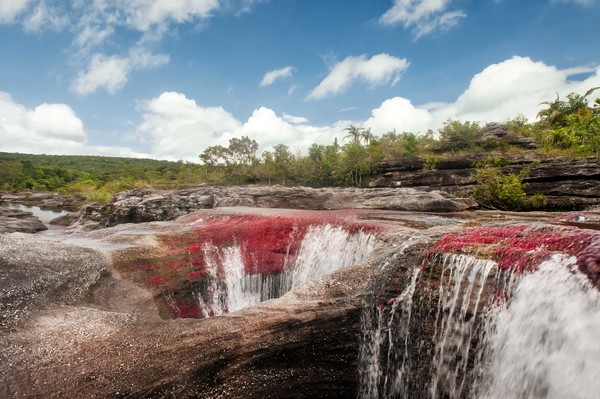 Los ochos, Caño cristales Foto Mario Carvajal www.mariocarvajal.com