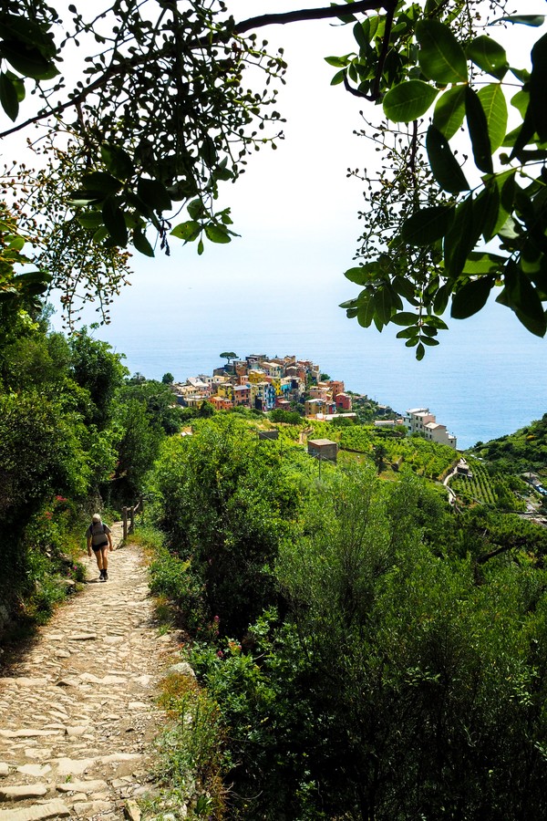 Cinque Terre, dallin-holding-unsplash