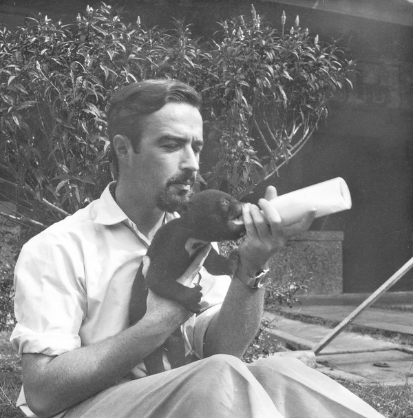 아기곰에게 우유를 먹이는 하를레스