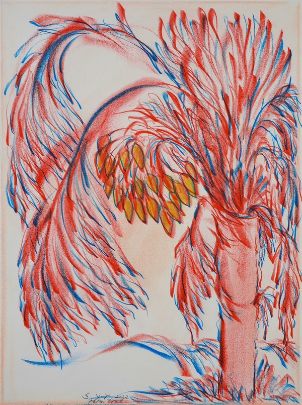 승연례, Palm tree, 2022, 종이에 크레용, 76x56.5cm(20호).