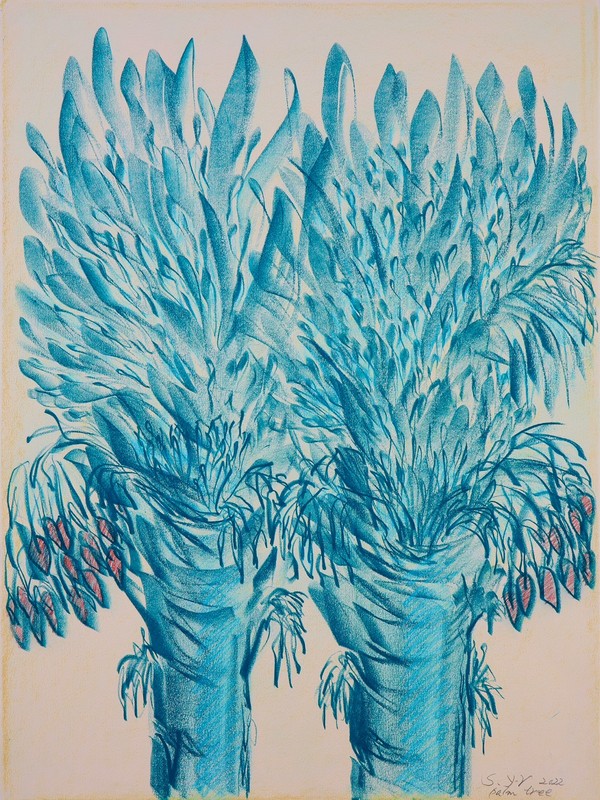 승연례, Palm tree, 2022, 종이에 크레용, 76x56.5cm(20호)..