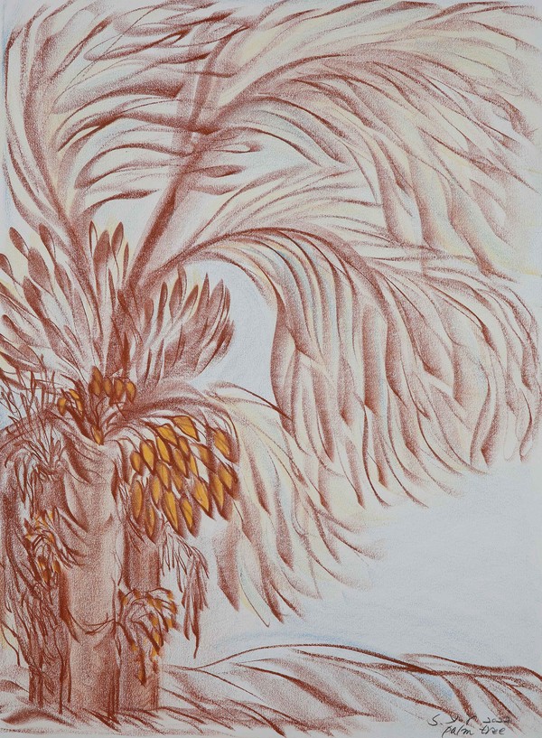 승연례, Palm tree, 2022, 종이에 크레용, 76x56.5cm(20호)
