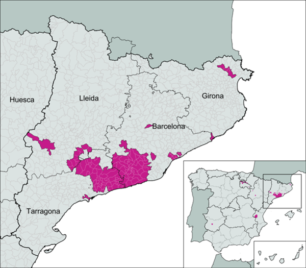 Location of Catalonia in Spain and Cava wine areas including the Penedès (largest purple area). Photo Credits: CC BY-SA 4.0 www.commons.wikimedia.org – www.wikipedia.org