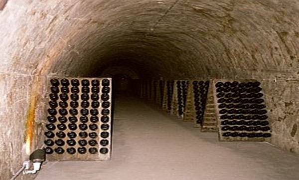 Bottles of Cava aged in a cellar. Photo Credits: CC BY-SA 3.0 wikipedia