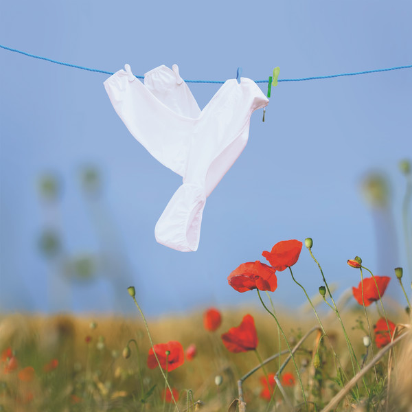 peace ⓒHelga Stentzel / CCOC 2023