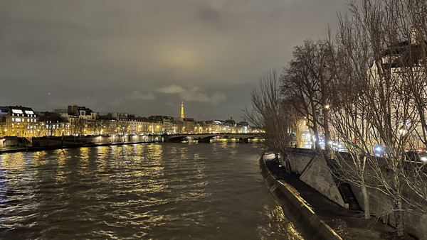 View from the 'Pont des Arts', (Bridge of the Arts), looking at the Eiffel tower