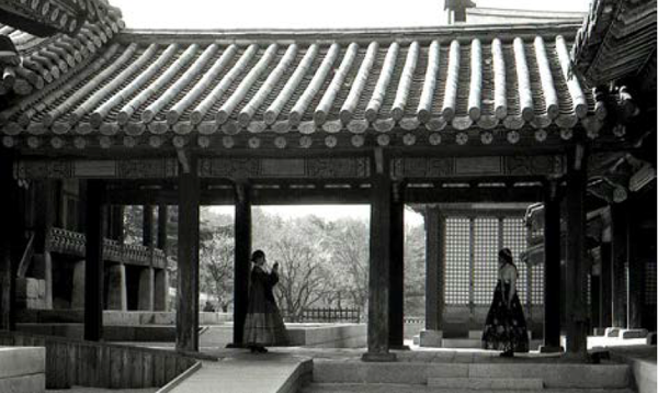 이봉희, 창경궁 50mm F5.6 1/200s ISO200