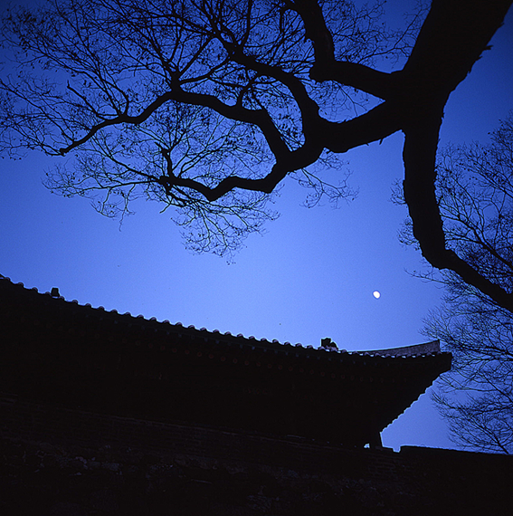 김용준, 남한산성 남문  Rolleiflex 75mm  F3.5  1/30s  ISO100