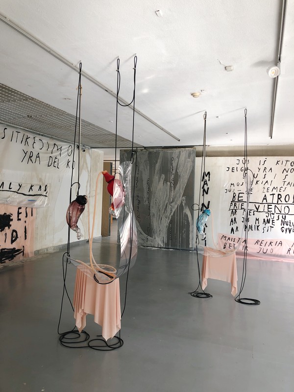 The Return of Sweetness, Baltic Triennial 13 "Give Up The Ghost", CAC Vilnius, 2018.07.28, Photo credit Taeho Choi