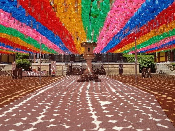 연등 가득한 대웅보전 앞마당