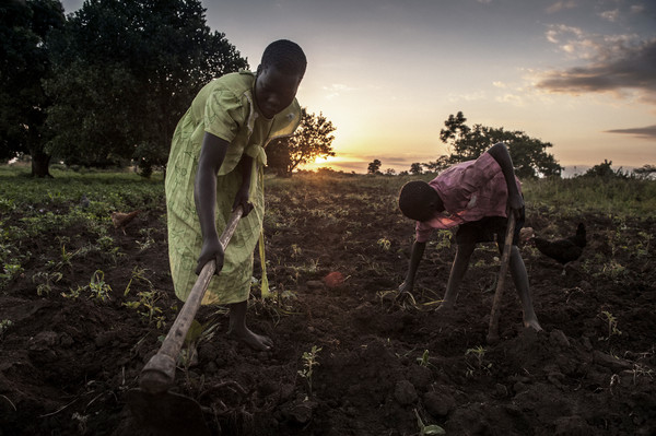 쿠미, 우간다, 2008