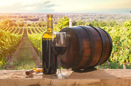 A glass of Chianti Classico among the Sangiovese grape vineyards. Photo Credits: www.svinando.com