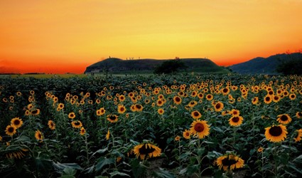 오재석, 연천 호로고루 23mm  F6.4  1/15s  ISO 200