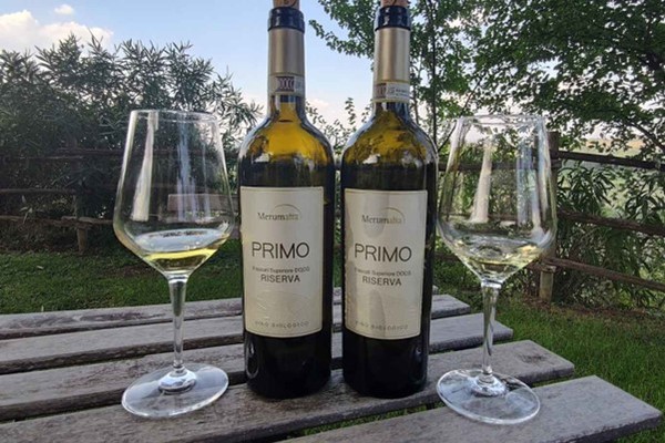 Frascati Superiore DOCG Riserva from Merumalia Winery. Frascati, Rome. Photo Credits: www.scattidigusto.it