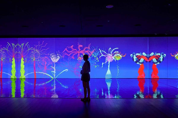 ⓒ miguel chevalier 6