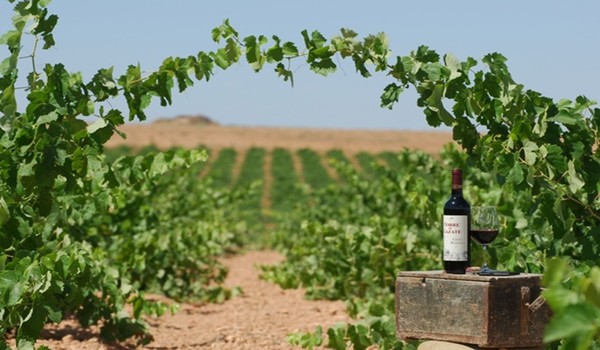 Vineyards of Tomelloso Winery, nearby the cities of Toledo and Albacete. Castilla-La Mancha. Photo Credits: www.winetourism.com