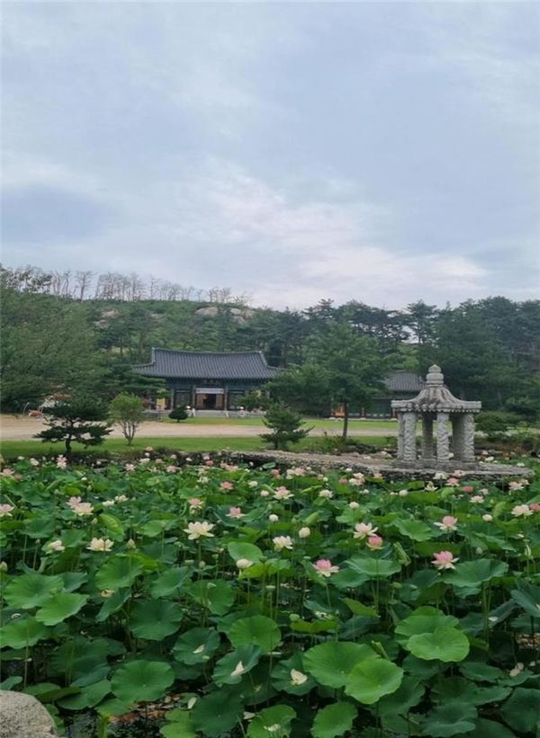 행사가 열리는 아름다운 보광사 전경