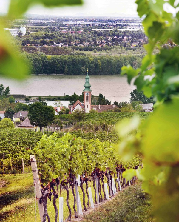 사진=오스트리아와인마케팅협회 제공