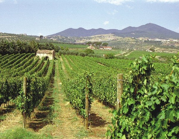 Aglianico grape vineyards around Mount Vulture. Basilicata region, Italy. Photo Credits: www.excellencemagazine.it