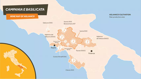 Main cultivation areas of Aglianico grapes in the southern Italian regions of Campania and Basilicata. Photo Credits: www.mamablip.com