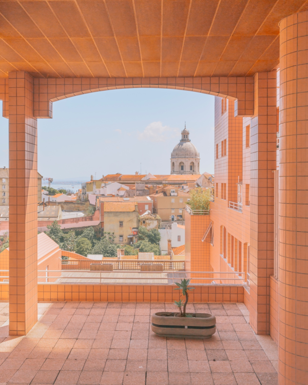 ⓒ Teresa Freitas, Subject Matter Art, and Artémios/CCOC - Bel-vedere, 2020