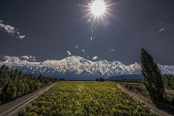 Adrianna Vineyard, the highest vineyards in Mendoza region, 1524 meters of altitude, owned by Catena Zapata winery. The Andes in the background. Photo Credits www.wikipedia.org