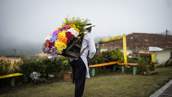 Medellin 1 Foto ProColombia