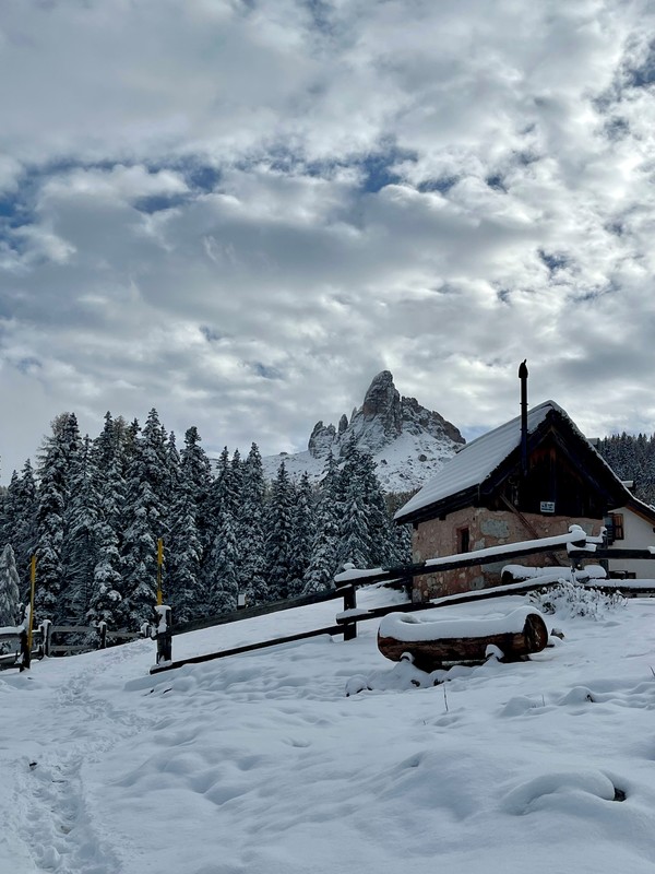 Cortina's fairy-like nature