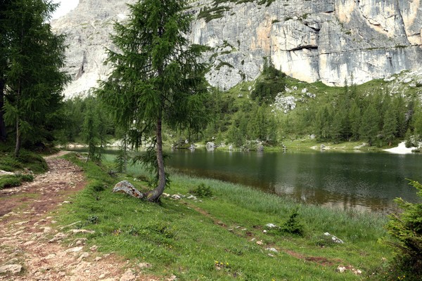 Stefano Marchiante-Croda da Lago, Cortina d'Ampezzo, BL, Italia-unsplash