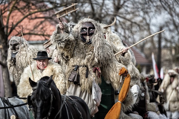 Source: Tourinform Iroda Mohács (https://www.mohacsibusojaras.hu)