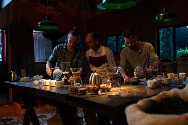 FINCA EL OCASO_LABORATORIO CAFE_MICE__DLM0936-2 copia