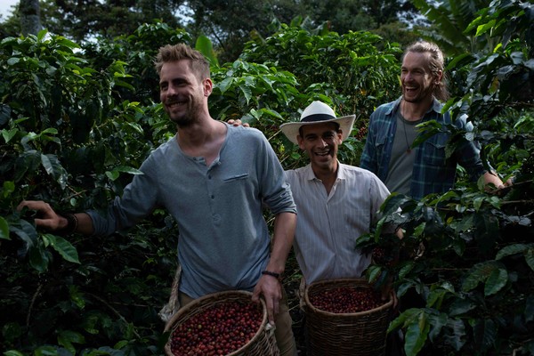 FINCA EL OCASO_CAFETAL_MICE_DLM0772 copia