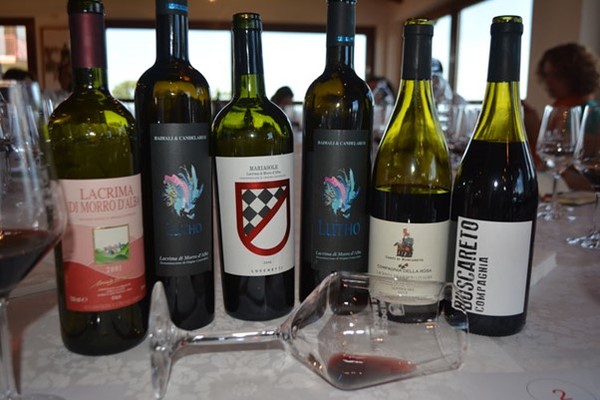 Lacrima di Morro d’Alba DOC wines. Photo credits www.wikipedia.org