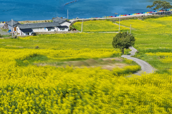 차석철, 청산도 70mm  F11  1/80s  ISO100