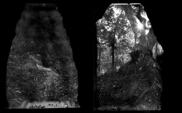 구좌읍, 애월읍, 제주도, 2023