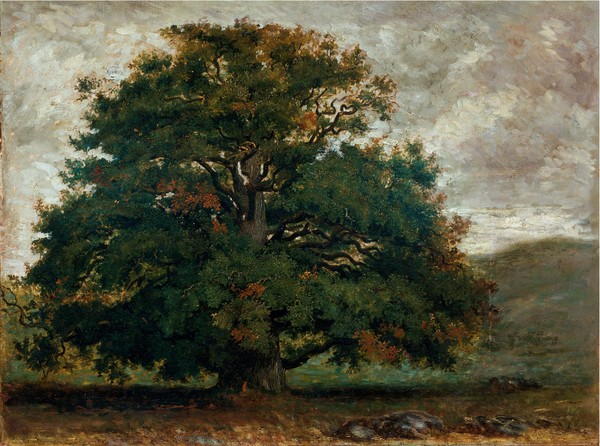 ©Theodore Rousseau, Un arbre dans la forêt de Fontainebleau