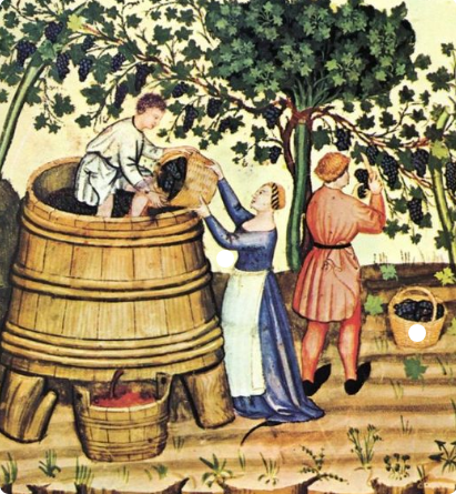 Anjou wine region. Pays de la Loire, France. Angevin winemakers in the Middle Ages. XIV century. Credits: Public Domain – www.wikipedia.org