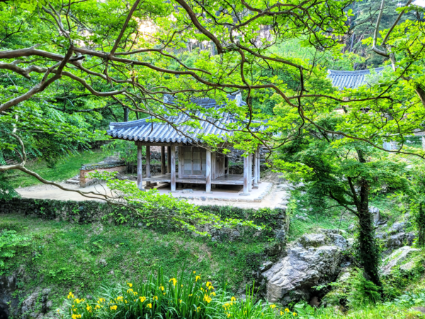 이남주, 소쇄원 26mm  F1.8  1/120s  ISO64