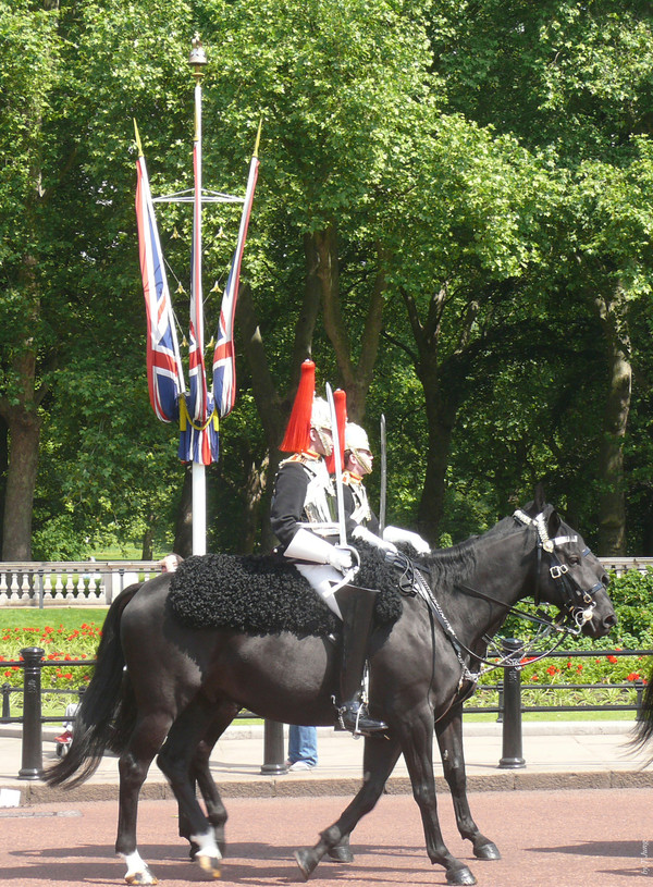 그린 파크 앞을 지나는 왕실기마근위대