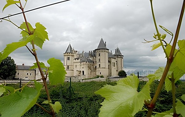 Chateau de Saumur, originally constructed in the 10th century AD, framed by the leaves of the vineyards. Credits: CC BY-SA 3.0 www.wikipedia.org