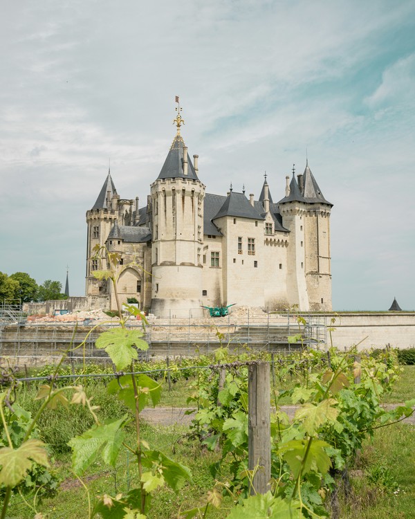 Andrea Villiers-Chateau de Saumur, originally constructed in the 10th century AD, over the leaves of the vineyards.