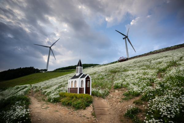 임순기, 육백마지기 16mm  F8  1/60s  ISO125