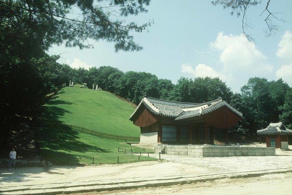 서울 조선 신덕왕후 정릉 전경, [한국민족문화대백과사전]